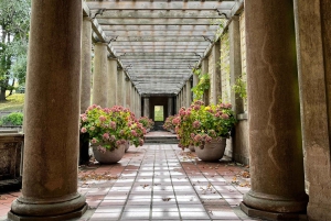 Desde Boston: Guest of the Cranes Tour guiado por la finca Crane