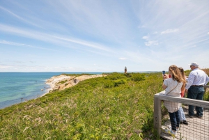 From Boston: Martha's Vineyard with Optional Island Tour