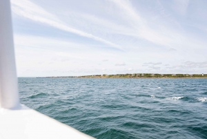 From Boston: Martha's Vineyard with Optional Island Tour