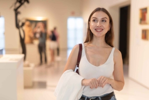 Museum of Fine Arts Boston Skip køen Privat guidet tur