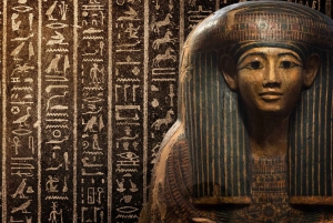 Museum of Fine Arts Boston Skip køen Privat guidet tur