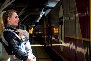 Day Trip from Boston: Guided Nature Walk at Crane Estate