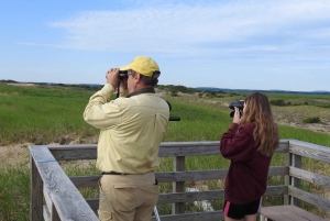 Day Trip from Boston: Guided Nature Walk at Crane Estate