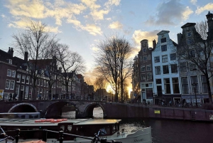 Au départ de Bruxelles : Excursion d'une journée à Amsterdam avec croisière sur les canaux