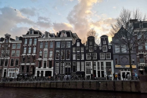 Au départ de Bruxelles : Excursion d'une journée à Amsterdam avec croisière sur les canaux