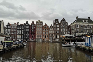 Au départ de Bruxelles : Excursion d'une journée à Amsterdam avec croisière sur les canaux