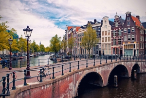 Au départ de Bruxelles : Excursion d'une journée à Amsterdam avec croisière sur les canaux