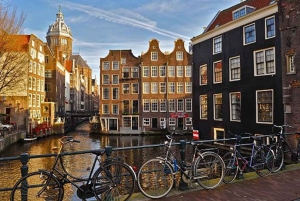 Au départ de Bruxelles : Excursion d'une journée à Amsterdam avec croisière sur les canaux