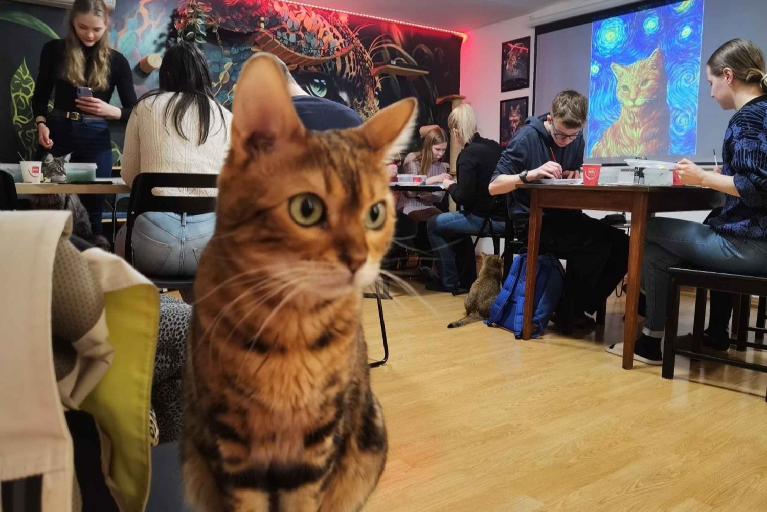 Budapest: Akrylmaleri-workshop på kattemuseet i Budapest