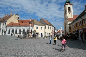 Boedapest: privé-dagtour Donauknie