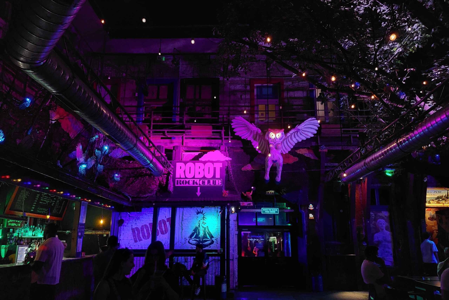 Budapest: Udforsk ikoniske barer på en guidet ruinbar-guidet gåtur