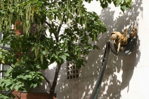 Budapest Grand Half-Day Jewish Heritage Tour