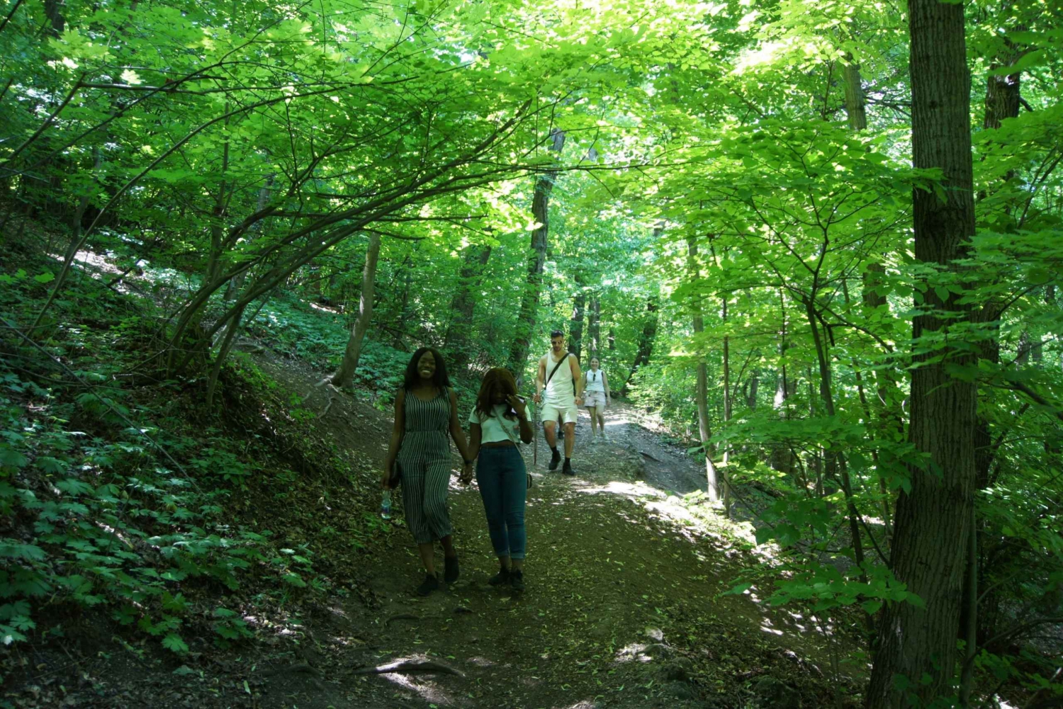 Budapest: Buda Hills Guided Hiking Tour with Optional Lunch