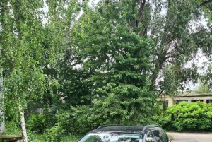 Budapest: Privat transport til Wien med stopp + billetter