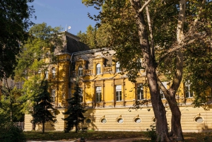 Budapest: Soccer Lover Tour & Folk Music Performance