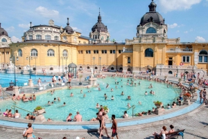 Budapest: Széchenyi Spa Full Day with Optional Pálinka Tour