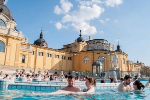 Budapest: Széchenyi Spa Full Day with Optional Pálinka Tour