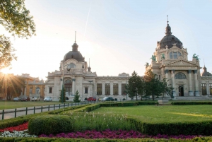 Budapest: Széchenyi Spa Full Day with Optional Pálinka Tour