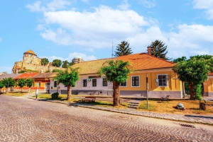 Viagem privada de um dia de Budapeste à Basílica de Esztergom com bilhetes