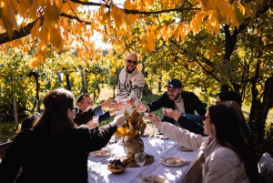 Budapest : chasse à la truffe, foie gras, dégustation de vin et déjeuner