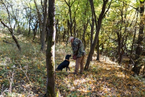 Budapest : chasse à la truffe, foie gras, dégustation de vin et déjeuner