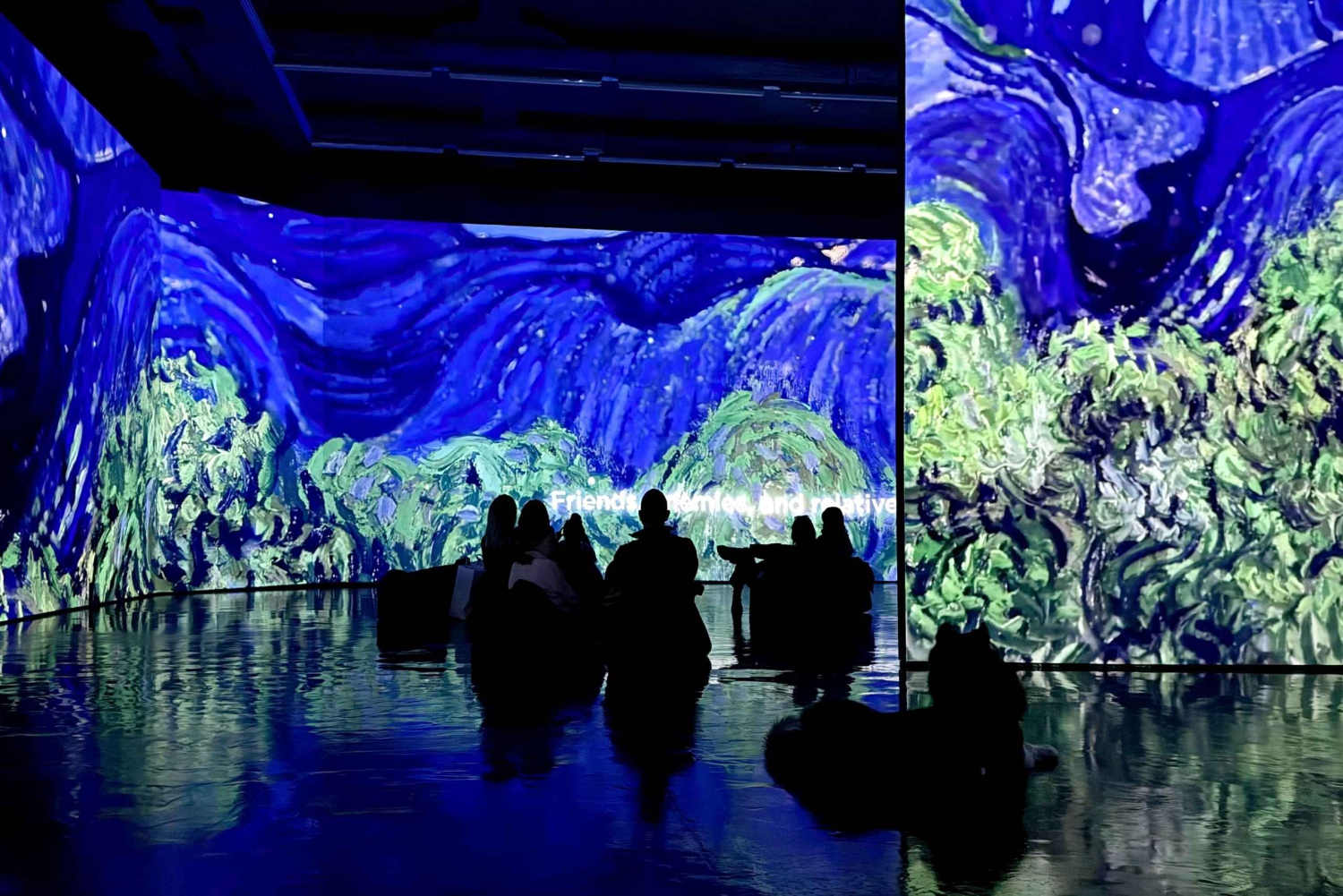 Budapest: Van Gogh Immersive Exhibition-biljett