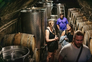 From Budapest: Etyek Wine Tasting Tour with 3-Course Meal