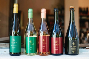 From Budapest: Etyek Wine Tasting Tour with 3-Course Meal