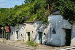 From Budapest: Guided Tour of Eger with Wine Tasting