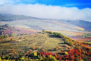 From Budapest: Guided Tour of Eger with Wine Tasting