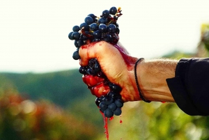 From Budapest: Guided Tour of Eger with Wine Tasting