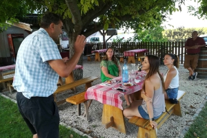 From Budapest: Half-day Countryside Wine Tour with Meal