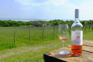 From Budapest: Lake Balaton Private Sailing/Tihany Peninsula