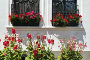 Из Будапешта: Искусство и история Сентендре с уличной едой