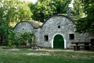 De Budpaest: Visita à aldeia vinícola de Páty com provas