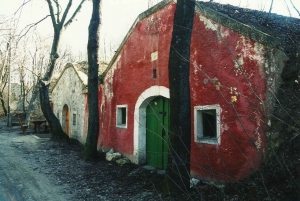 From Budpaest: Páty Wine Village Tour with Tastings