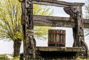 Half-Day Etyek Wine Tour from Budapest with Meal