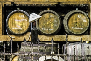 Half-Day Etyek Wine Tour from Budapest with Meal