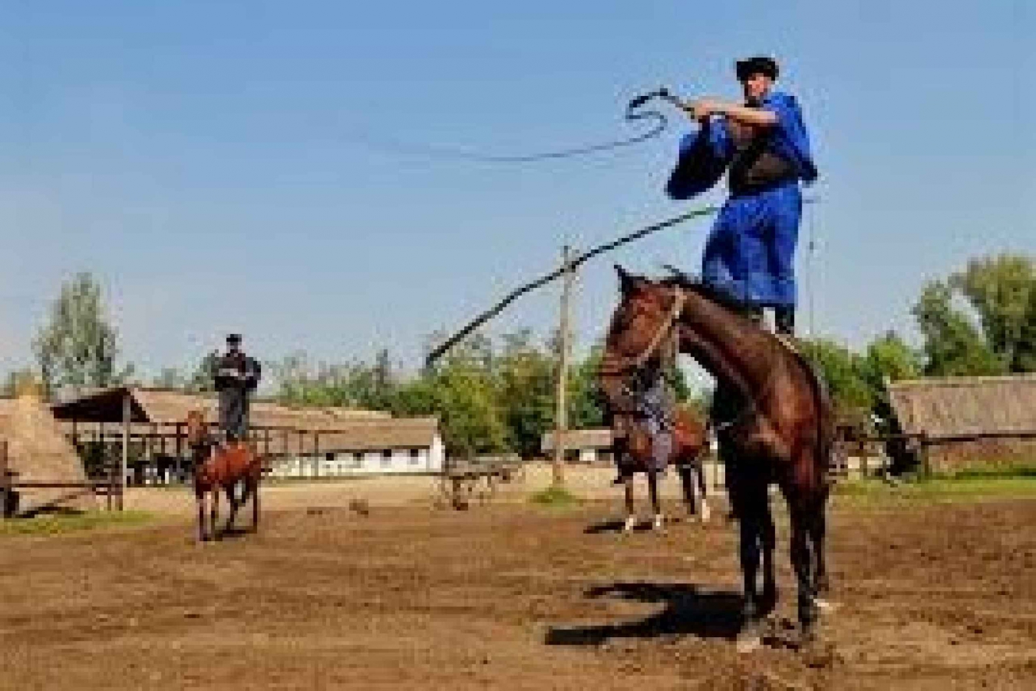 Puszta Tour i pokaz koni
