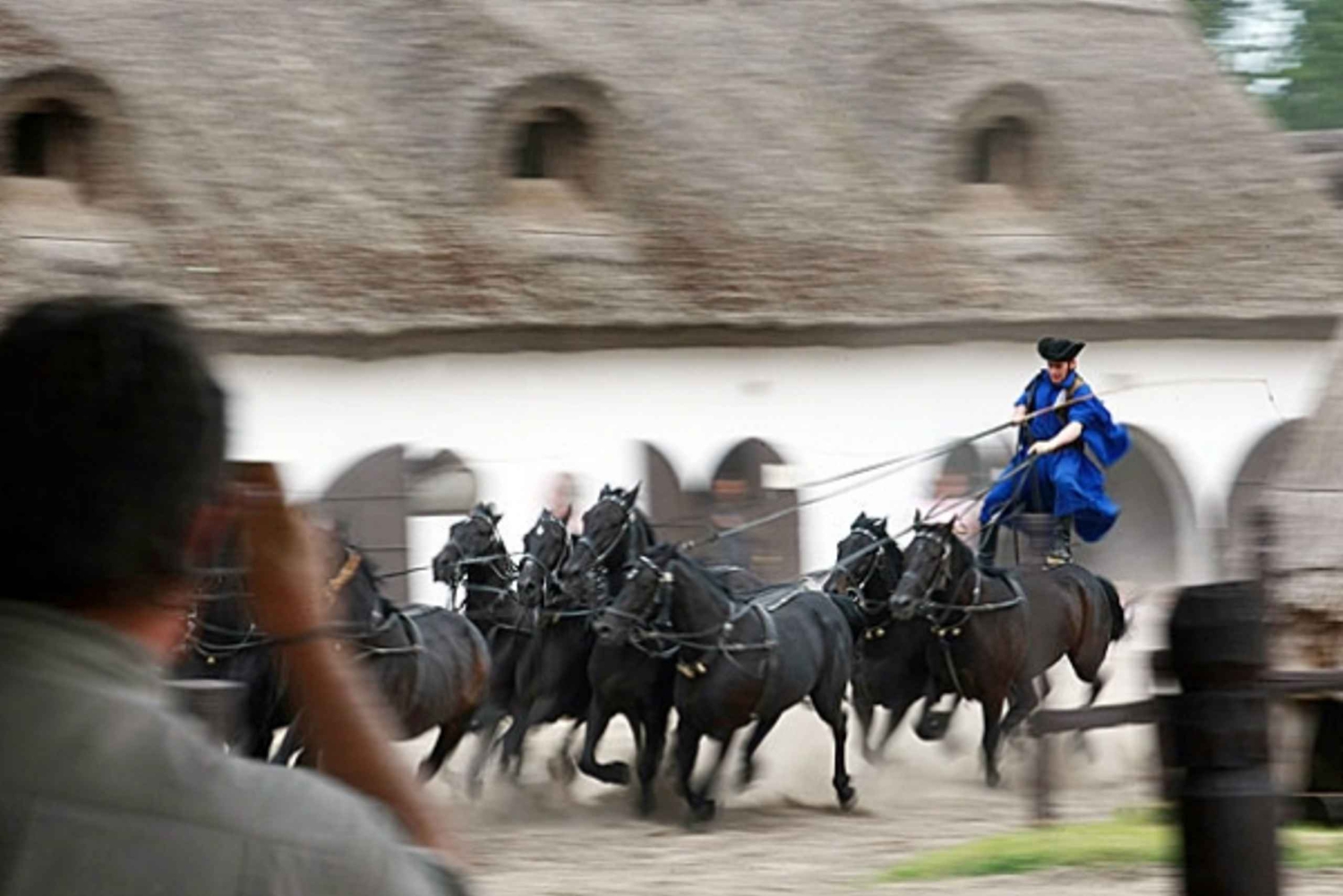 De: Hongaarse Puszta vanuit Boedapest - dagvullende tour
