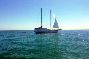 Balchik : croisière de 4 heures sur la mer Noire avec déjeuner et boissons