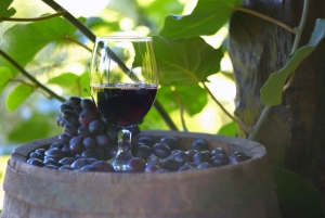 Балчик и Золотые пески: спа и культура на Черном море