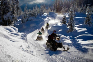 Borovets: Abenteuer mit dem Schneemobil