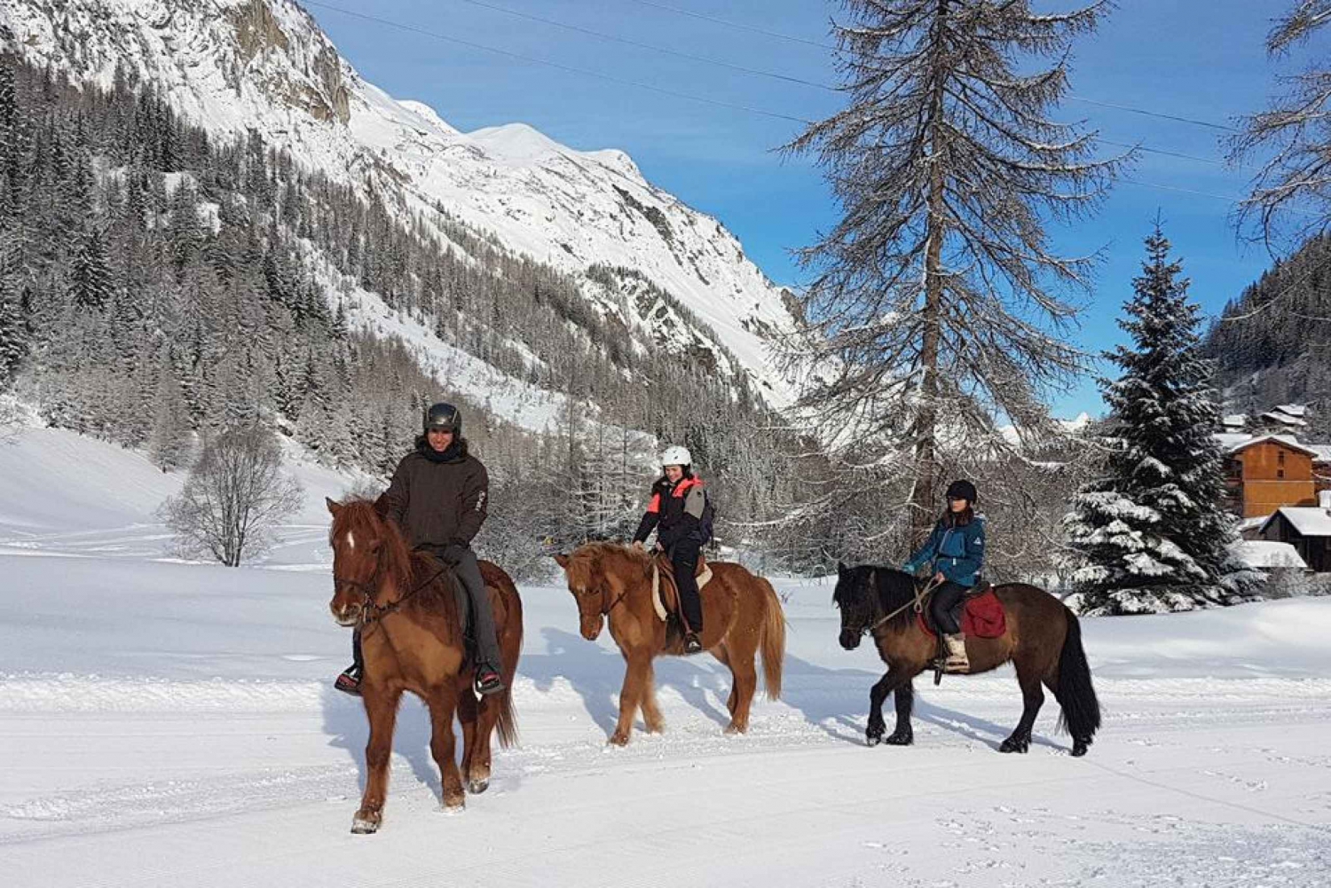 From Bansko: Horse Riding Experience
