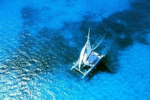 From Obzor: Half-Day Black Sea Catamaran Cruise