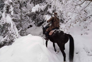 From Smolyan: Waterfalls Canyon Horseback Riding Tour