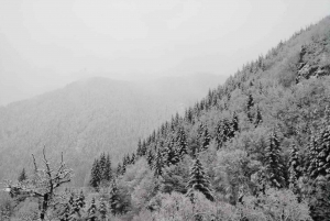 From Smolyan: Waterfalls Canyon Horseback Riding Tour