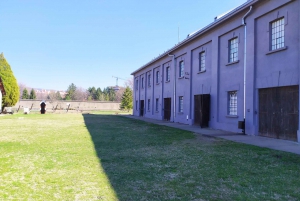 Fra Sofia: Dagstur til Nis i Serbia