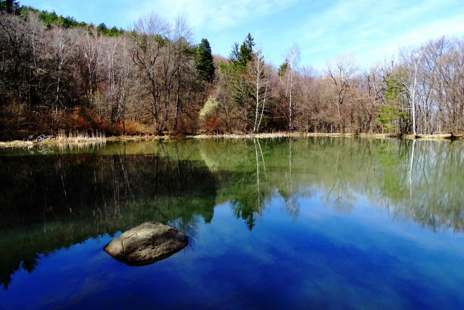 Au départ de Sofia : Excursion d'une journée dans la montagne Vitosha