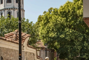 From Sofia: Plovdiv Full-Day Guided Tour